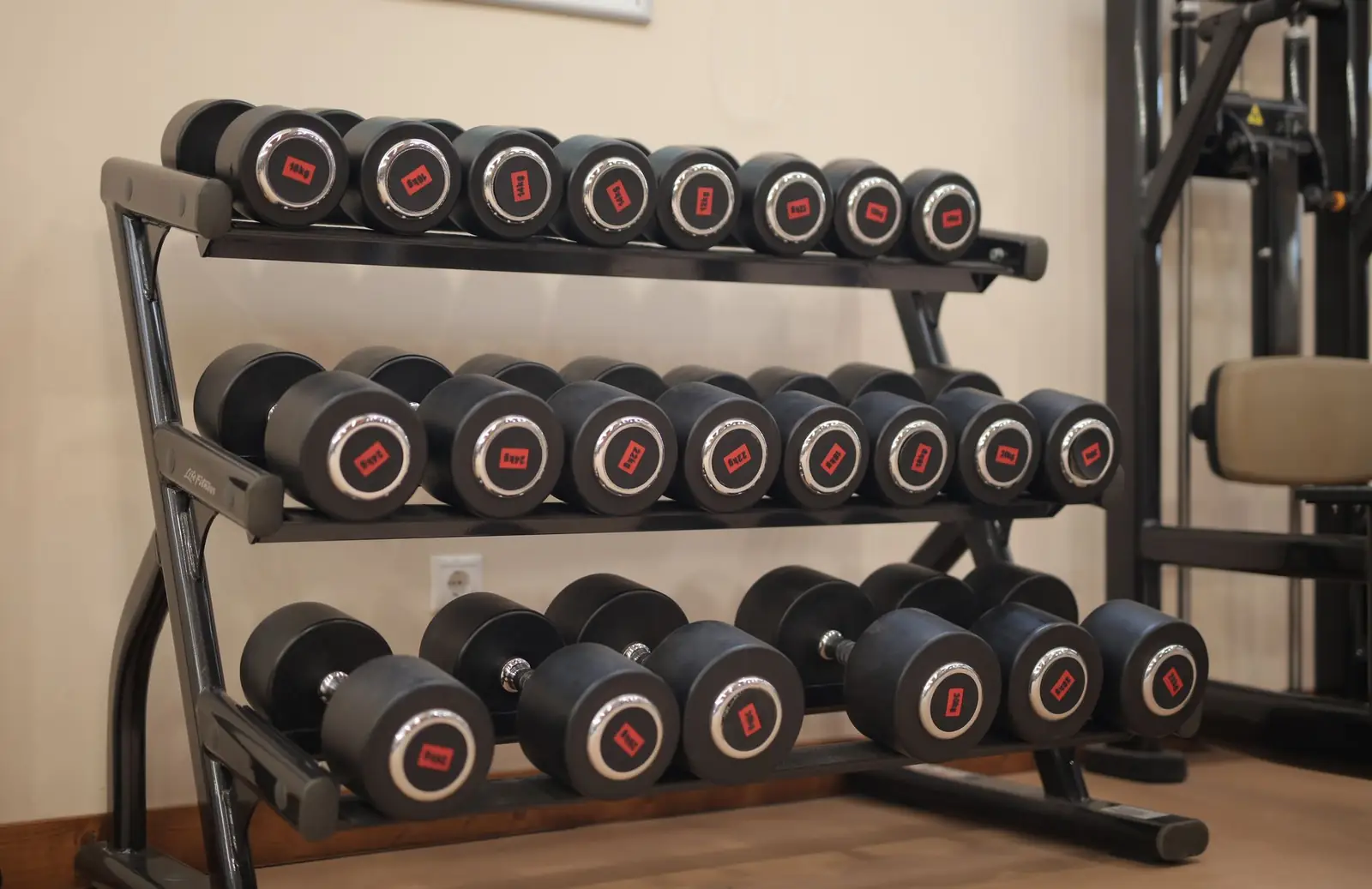 Fitness & Bewegung